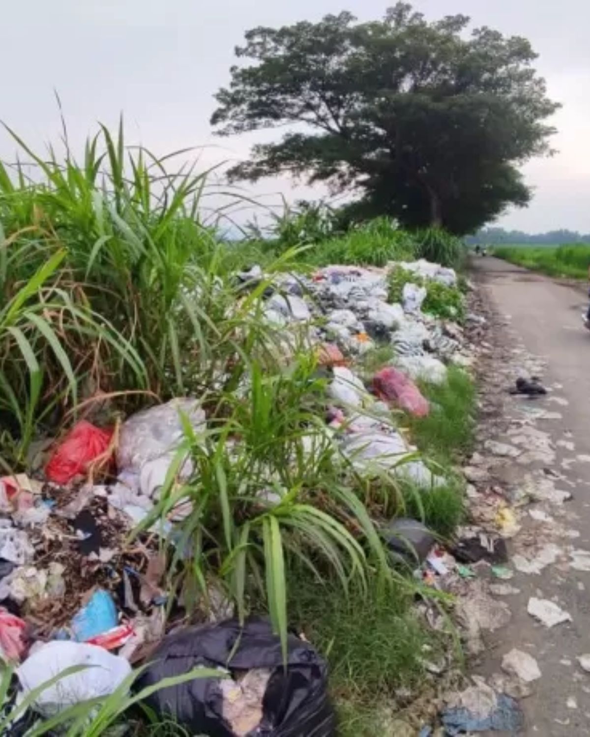 Posting Bank Bumi (1)